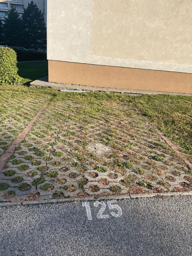 Stadtsuite Mit Sauna In Wiener Neustadt 135 M2 Zewnętrze zdjęcie