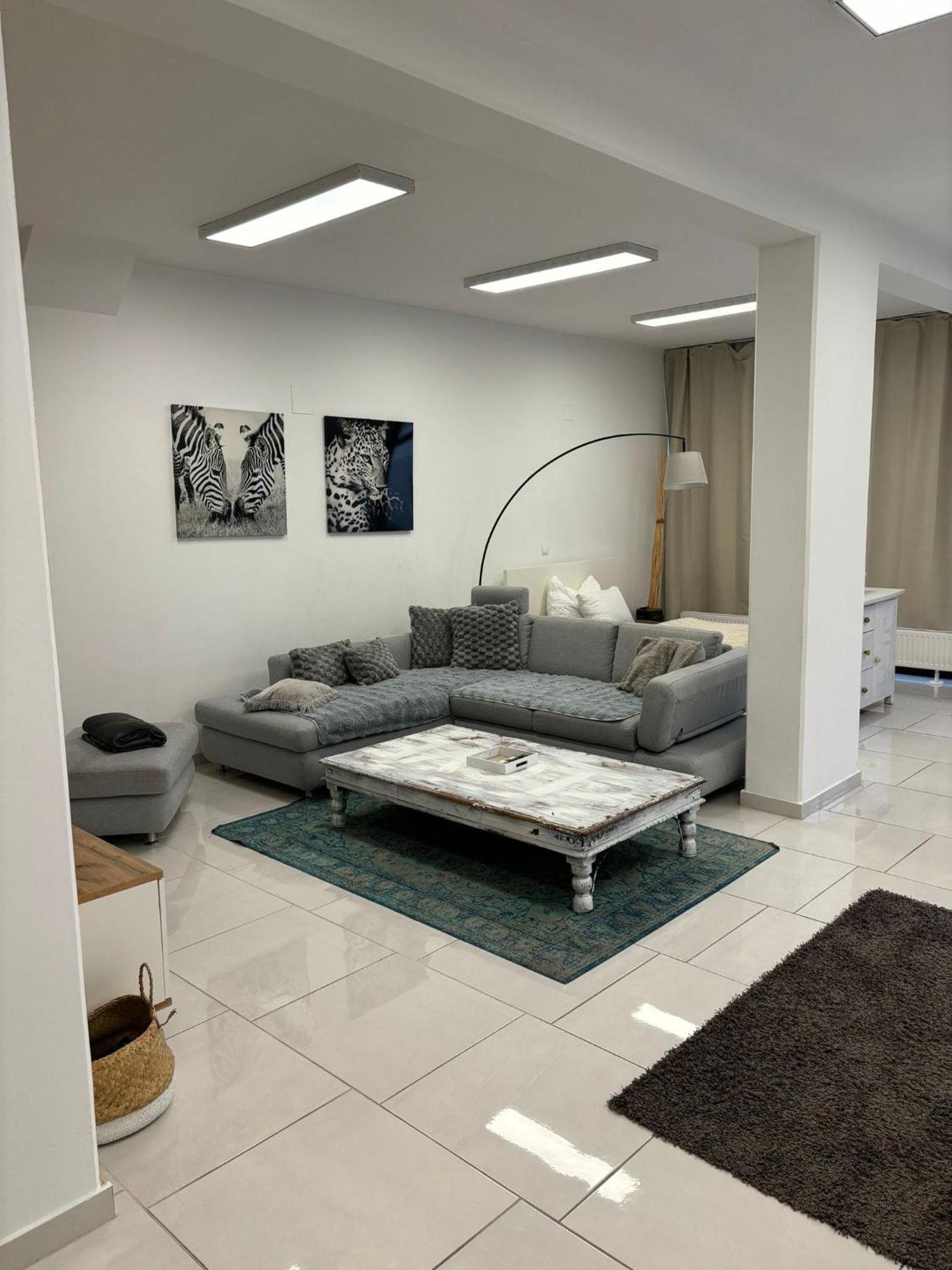 Stadtsuite Mit Sauna In Wiener Neustadt 135 M2 Zewnętrze zdjęcie